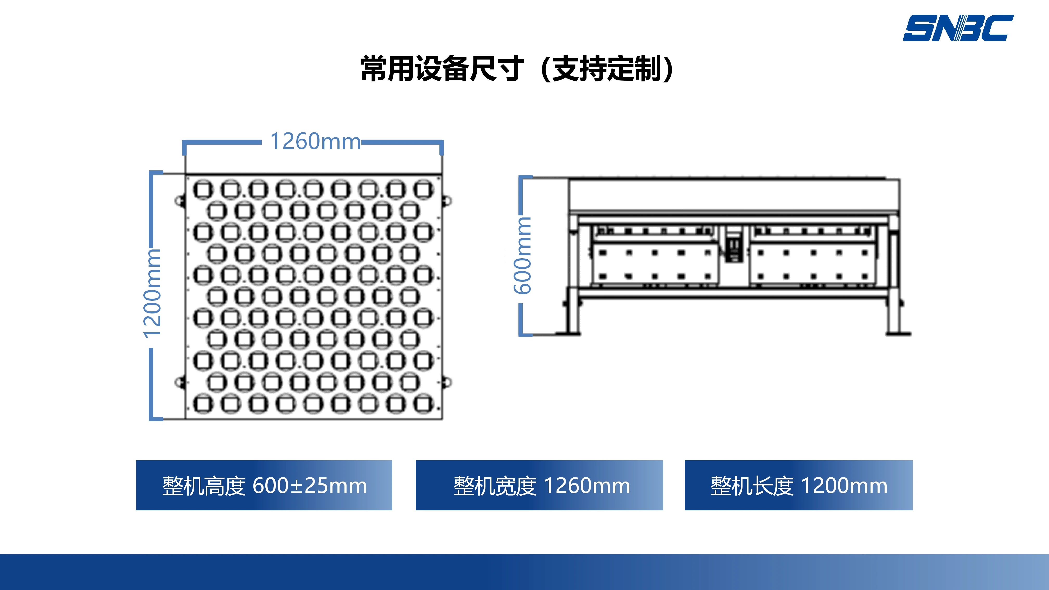 摆轮分拣机 (5).webp